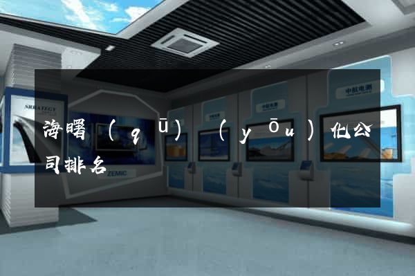 海曙區(qū)優(yōu)化公司排名