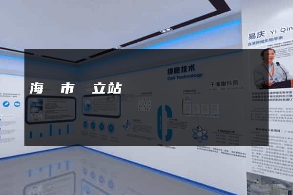 海門市獨立站運營