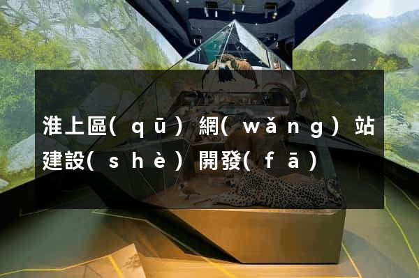淮上區(qū)網(wǎng)站建設(shè)開發(fā)
