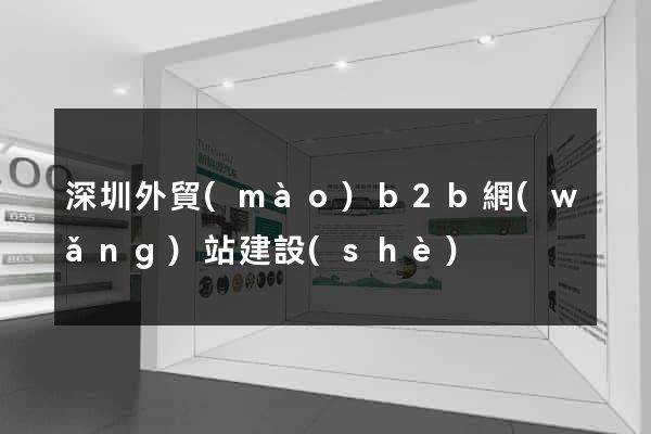 深圳外貿(mào)b2b網(wǎng)站建設(shè)