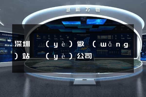 深圳專業(yè)做網(wǎng)站專業(yè)公司