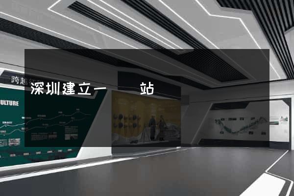 深圳建立一個網站