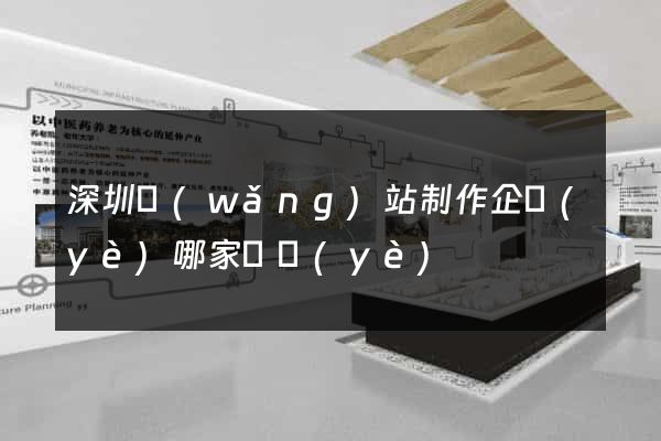 深圳網(wǎng)站制作企業(yè)哪家專業(yè)