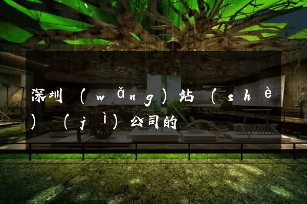 深圳網(wǎng)站設(shè)計(jì)公司的