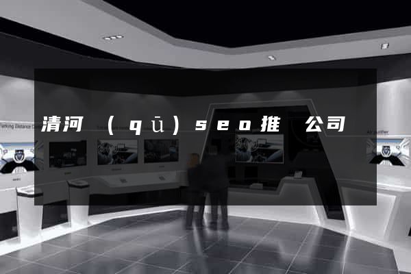 清河區(qū)seo推廣公司
