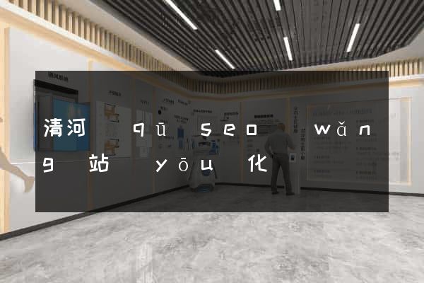 清河區(qū)seo網(wǎng)站優(yōu)化