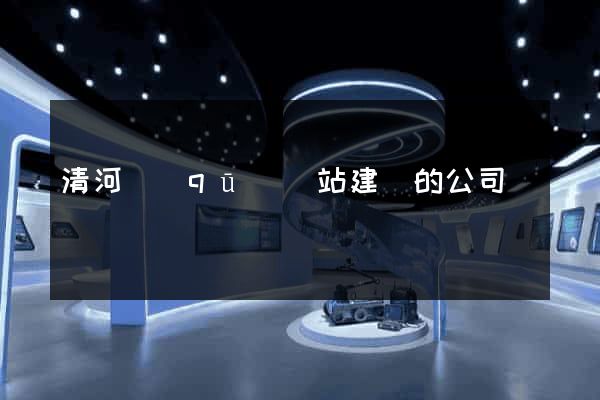 清河區(qū)網站建設的公司
