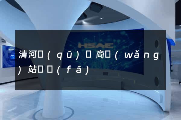 清河區(qū)電商網(wǎng)站開發(fā)