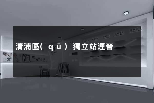 清浦區(qū)獨立站運營