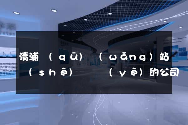 清浦區(qū)網(wǎng)站設(shè)計專業(yè)的公司