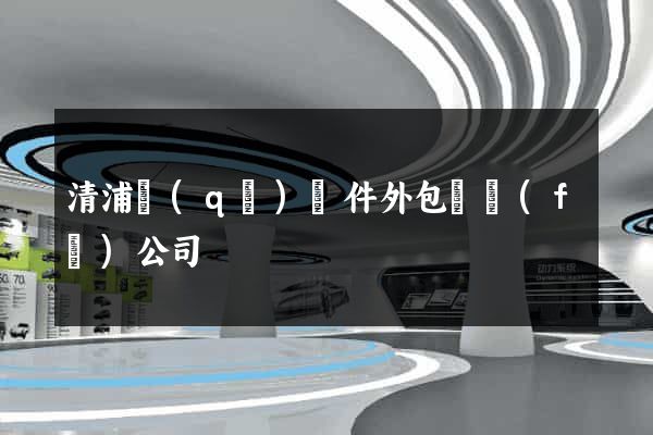 清浦區(qū)軟件外包開發(fā)公司