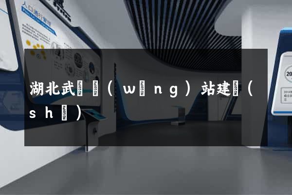 湖北武漢網(wǎng)站建設(shè)