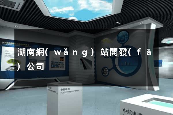 湖南網(wǎng)站開發(fā)公司