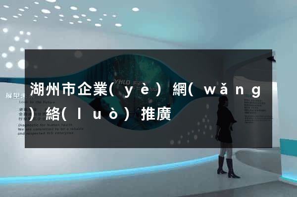 湖州市企業(yè)網(wǎng)絡(luò)推廣