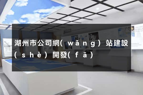 湖州市公司網(wǎng)站建設(shè)開發(fā)