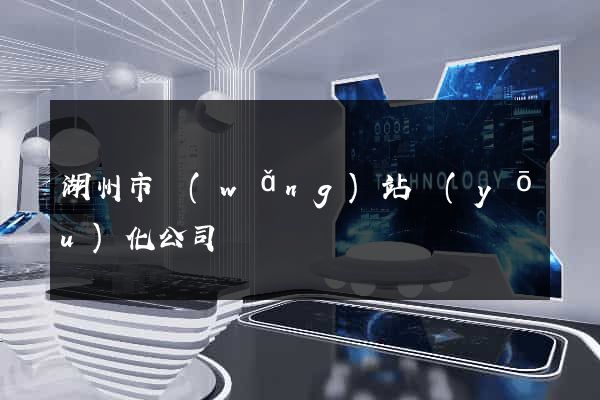 湖州市網(wǎng)站優(yōu)化公司