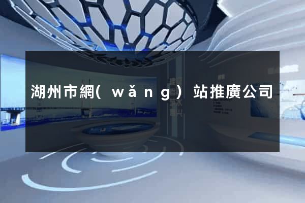 湖州市網(wǎng)站推廣公司