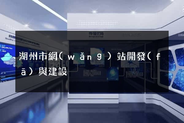 湖州市網(wǎng)站開發(fā)與建設