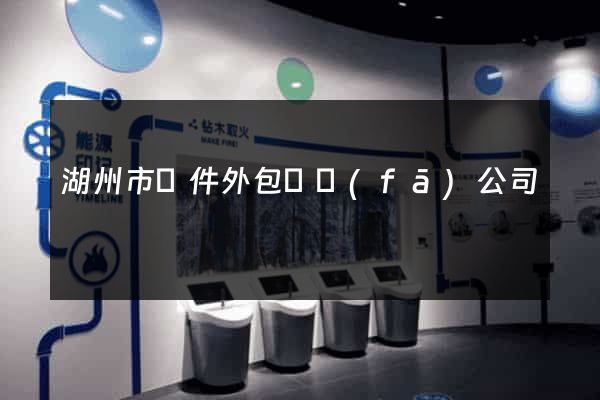 湖州市軟件外包開發(fā)公司