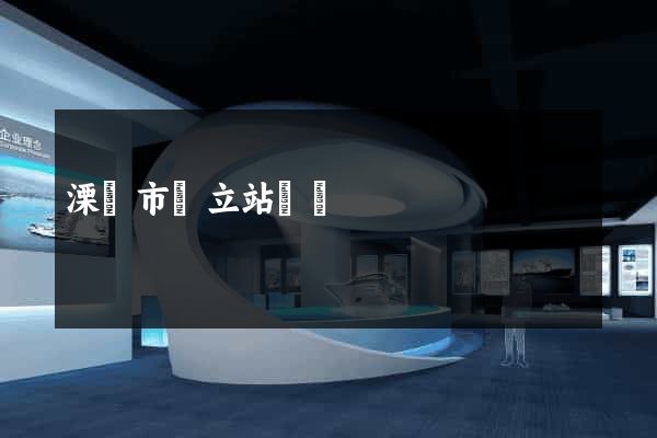 溧陽市獨立站運營