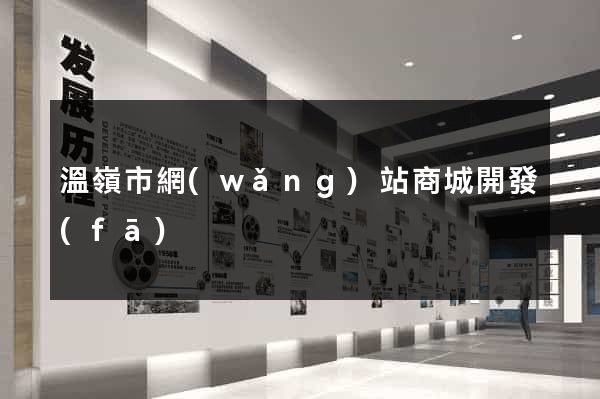 溫嶺市網(wǎng)站商城開發(fā)