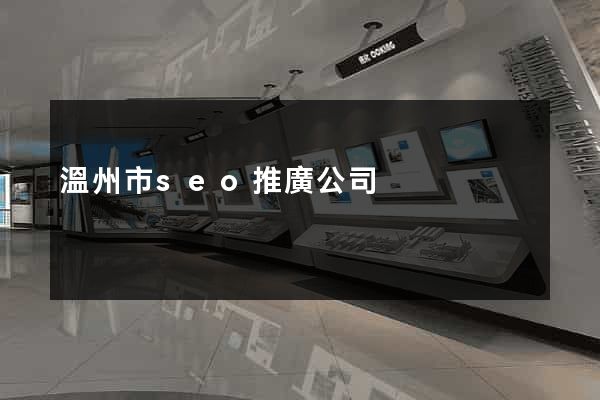 溫州市seo推廣公司