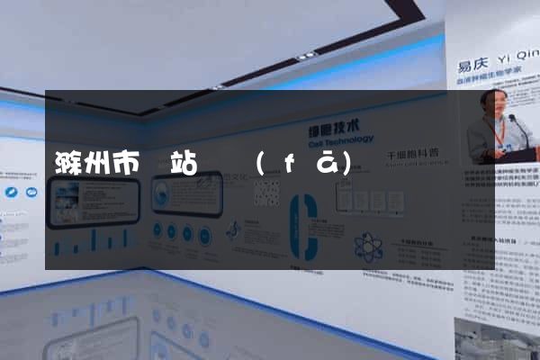 滁州市網站開發(fā)