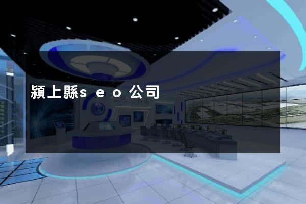 潁上縣seo公司
