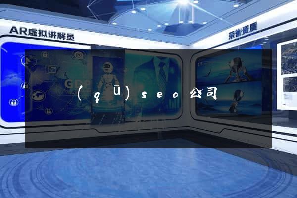 潁東區(qū)seo公司