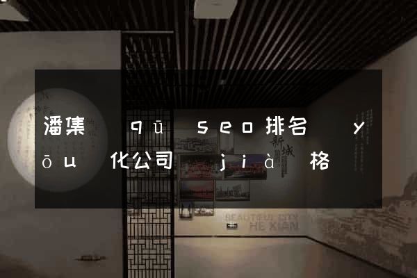 潘集區(qū)seo排名優(yōu)化公司價(jià)格