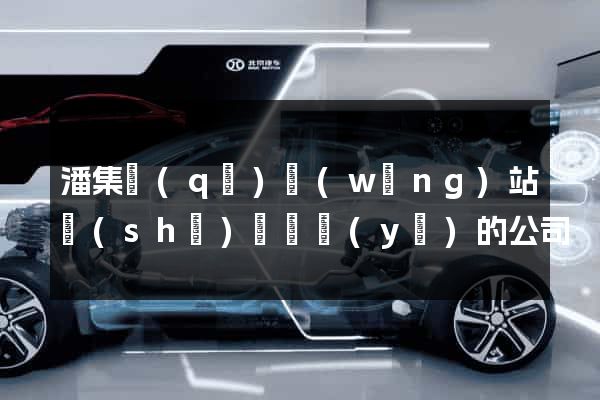 潘集區(qū)網(wǎng)站設(shè)計專業(yè)的公司