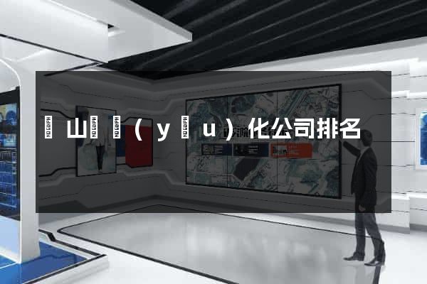 潛山縣優(yōu)化公司排名
