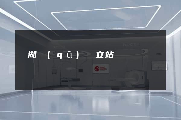 濱湖區(qū)獨立站運營