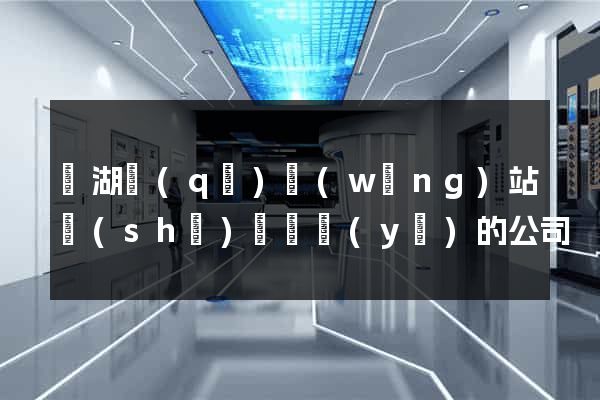 濱湖區(qū)網(wǎng)站設(shè)計專業(yè)的公司
