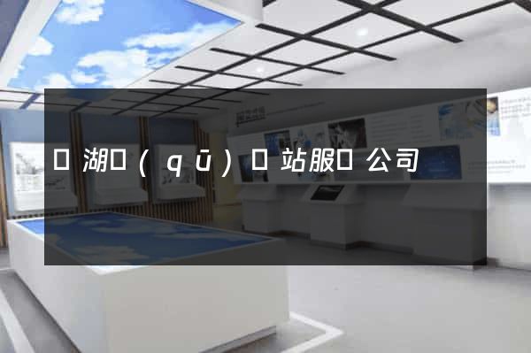 濱湖區(qū)網站服務公司