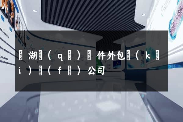 濱湖區(qū)軟件外包開(kāi)發(fā)公司