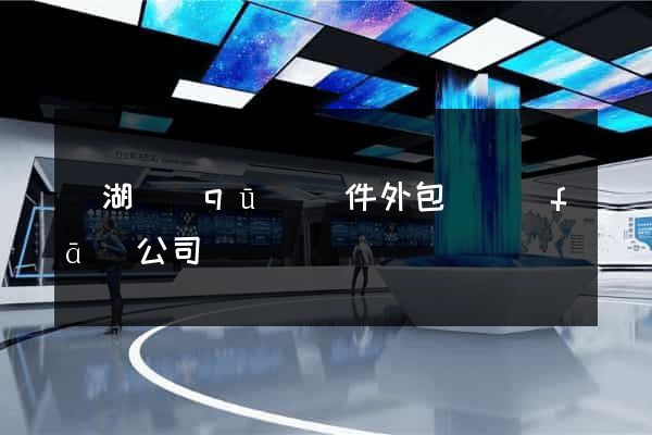 濱湖區(qū)軟件外包開發(fā)公司
