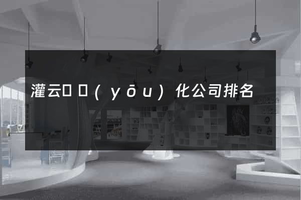 灌云縣優(yōu)化公司排名