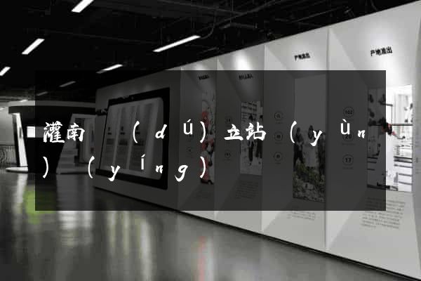 灌南縣獨(dú)立站運(yùn)營(yíng)