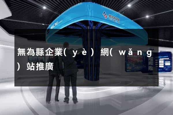 無為縣企業(yè)網(wǎng)站推廣