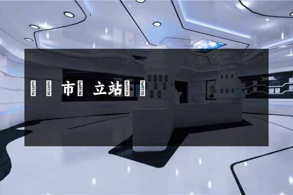 無錫市獨立站運營