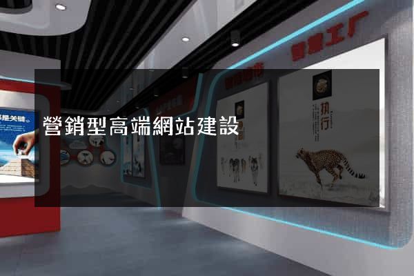 營銷型高端網站建設
