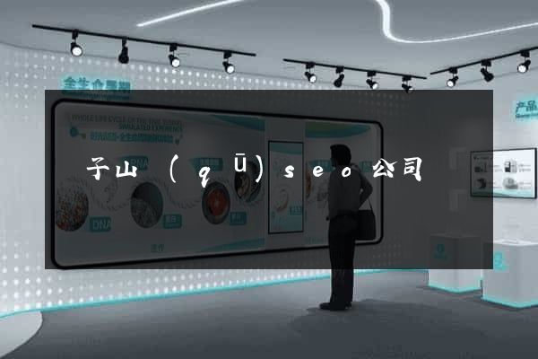 獅子山區(qū)seo公司