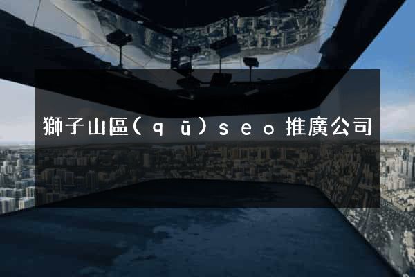 獅子山區(qū)seo推廣公司