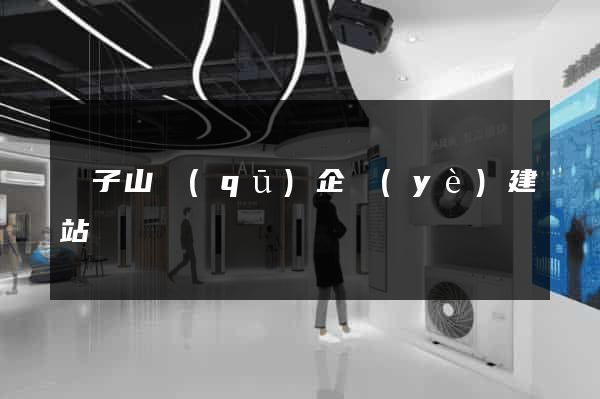 獅子山區(qū)企業(yè)建站
