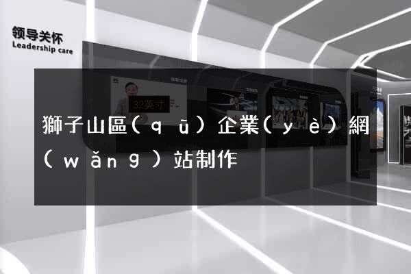 獅子山區(qū)企業(yè)網(wǎng)站制作