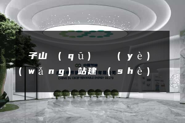 獅子山區(qū)專業(yè)網(wǎng)站建設(shè)