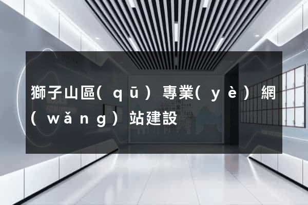 獅子山區(qū)專業(yè)網(wǎng)站建設