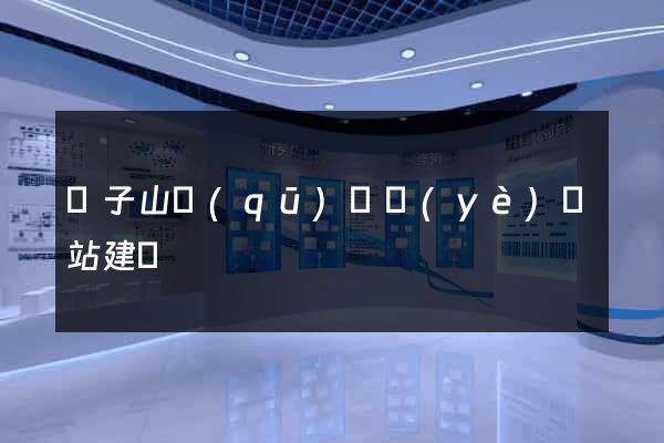 獅子山區(qū)專業(yè)網站建設