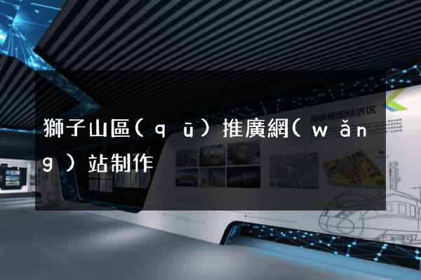 獅子山區(qū)推廣網(wǎng)站制作